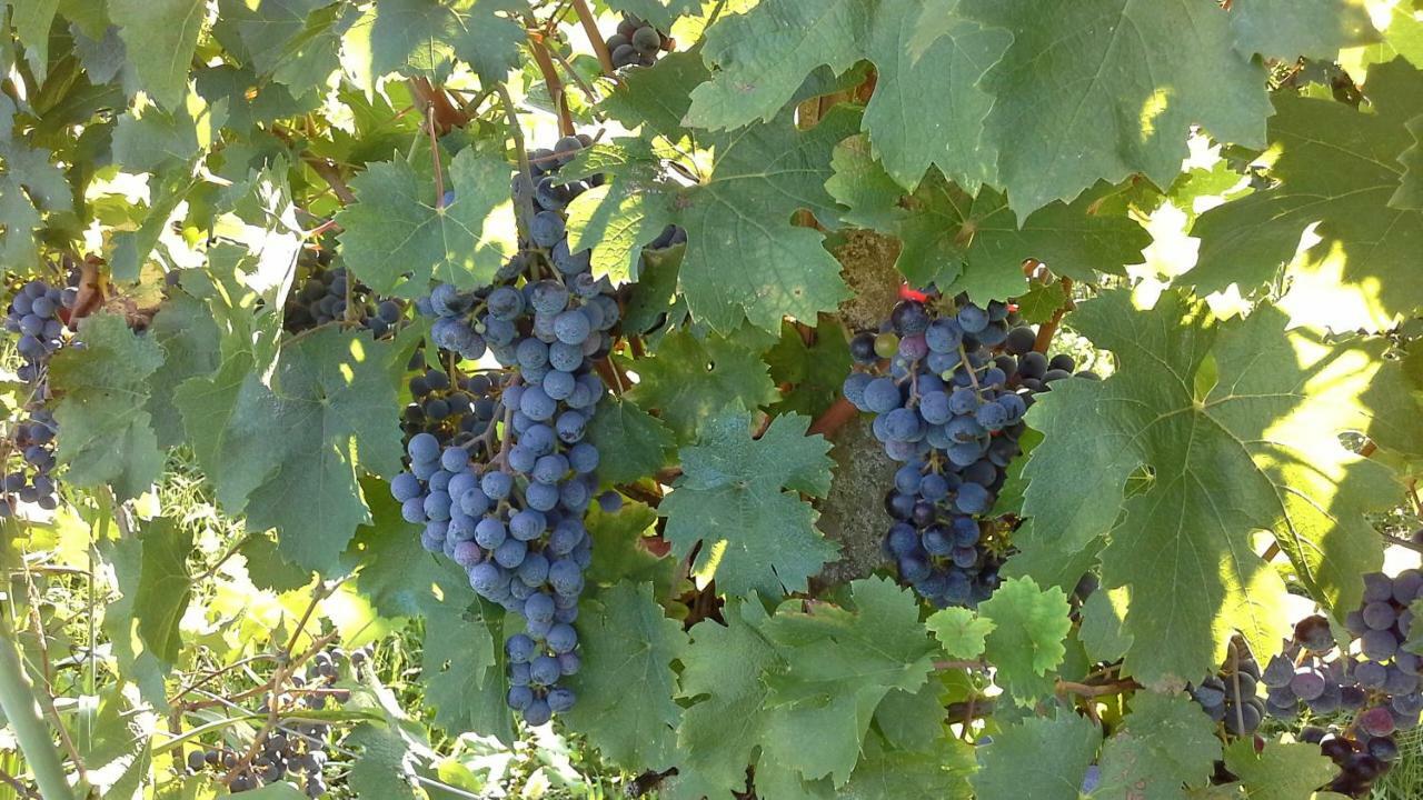 Agriturismo Le Giarine Fogliano Redipuglia Ngoại thất bức ảnh